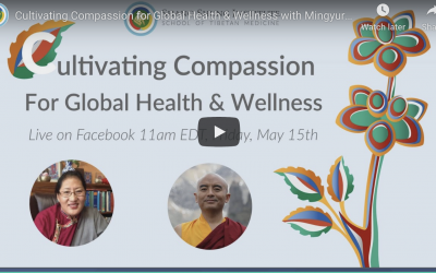 Cultivating Compassion