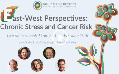 East-West Perspectives: Chronic Stress and Cancer Risk