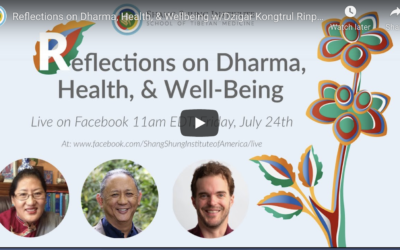 Reflections on Dharma, Health, & Well-Being w/Dzigar Kongtrul Rinpoche
