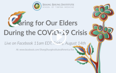 Caring for Our Elders During the Covid-19 Crisis