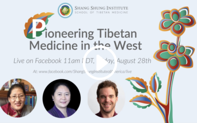 Pioneering Tibetan Medicine in the West