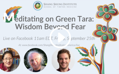 Meditating on Green Tara: Wisdom Beyond Fear