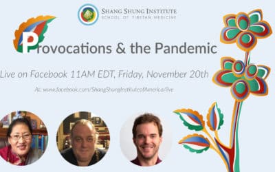 Provocations & the Pandemic