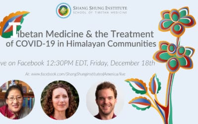 Tibetan Medicine & the Treatment of COVID-19 in Himalayan Communities