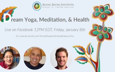 Dream Yoga, Meditation, & Health