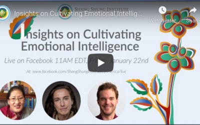 Insights on Cultivating Emotional Intelligence