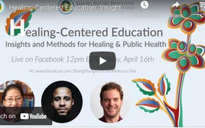Healing-Centered Education: Insights and Methods for Healing and Public Health