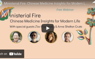 Ministerial Fire: Chinese Medicine Insights for Modern Life